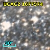 [L63] 313
