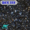 [L63] 333
