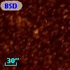 BSDL 1945