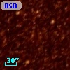 BSDL 1959