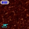 BSDL 2010