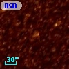BSDL 2021