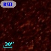 BSDL 2038