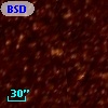 BSDL 2064