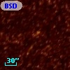 BSDL 2067