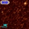 BSDL 2125