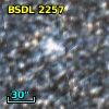 BSDL 2257