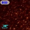 BSDL 2389