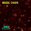 BSDL 2405