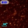 BSDL 2441
