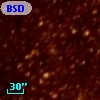 BSDL 2458