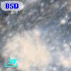 BSDL 2727