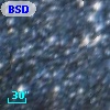 BSDL 2767