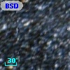 BSDL 2833
