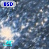 BSDL 2839