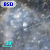 BSDL 2864