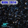 BSDL 2924