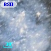 BSDL 3080
