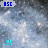 BSDL 3081