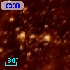CXOU J053606.6-691147