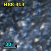 H88 313