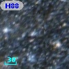 H88 319