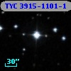 TYC 3915-1101-1