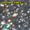 SV* HV  5993