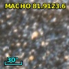 2MASS J05364678-6945333