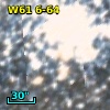 Cl* NGC 2100    ROB B46
