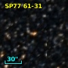 SP77  61-31