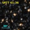 SP77  61-36