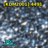 [KDM2001]  4491