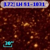[L72] LH  81-1031