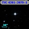 TYC 4201-2079-1