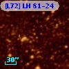 [L72] LH  81-24