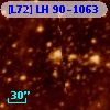 [L72] LH  90-1063