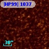 [HP99]  1037