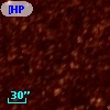 [HP99]  1077