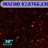 MACHO  82.8766.1305