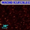 MACHO  82.8526.1176