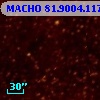 MACHO  81.9004.1177