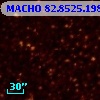 MACHO  82.8525.1980