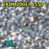 [KDM2001]  4550