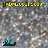 [KDM2001]  5009