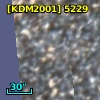 [KDM2001]  5229