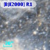 [BJI2000] R1