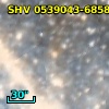 SHV 0539043-685836