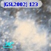 [GSL2002] 123