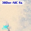 30Dor-NIC  8a
